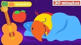 Aprender Nuevas Palabras | Vocabulario para Niños | Vocabularry con Larry | Mi Primera Universidad