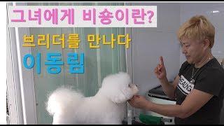 [브리더를 만나다] 비숑프리제 - 이동림 1편, '그녀에게 비숑이란?' | Introducing Bichon frise breeder.