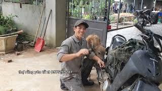 Rất Chi Là Nề Nếp Khi Thợ Rừng Yên Tử Đi Rừng#thorungyentu