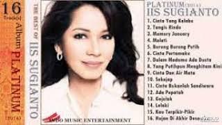 Salah Siapa - Iis Sugianto