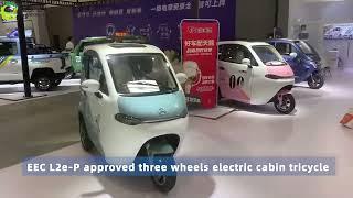 electric tricycle approved by eec coc l2e electric trike