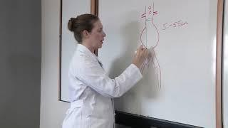 What is Abdominal Aortic Aneurysm Disease?