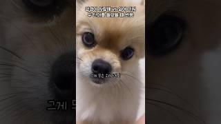 사랑해 vs 미워