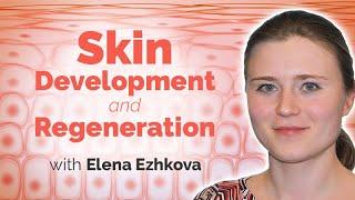 Skin Development and Regeneration in Homeostasis and Disease with Elena Ezhkova