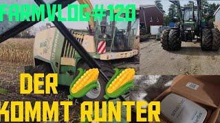 Farmvlog#120 Der Mais kommt runter Smaxtec: die Kuh auf dem Handy teil1