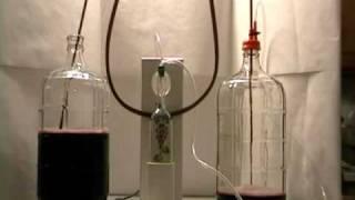 Bottling, Racking , Filtering , CO2 removal  using the Allinonewinepump .