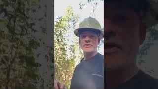 Southwest Oregon’s Forest Crisis: What We’re Doing About It ️ #outdoors #nature