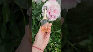 Аромат дня и цветочное царство-государство #ароматыналето #парфюмерия #perfume #perfumecollection