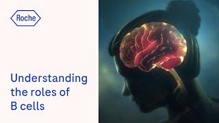 Multiple sclerosis | Understanding the roles of B cells