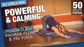 Powerful & Calming: A Vinyasa Flow & Yin Yoga Fusion Class - Five Parks Yoga