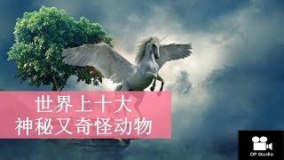 世界上10大神秘又奇怪的动物1