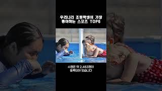 우리나라 초등학생이 가장 좋아하는 스포츠 TOP6