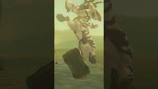 Eh, Lynels STILL Aren't Too Tough (Tears of the Kingdom)!