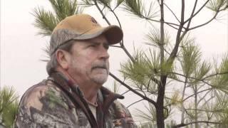 Rainbow Trout Fish Farm: America's Heartland
