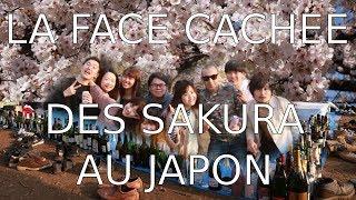 LA FACE CACHEE DES SAKURA : LES JAPONAIS ALCOOLIQUES ?