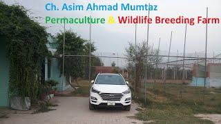 Drone Video of Permaculture and Wildlife Breeding Farm - Amazing  Farm - Brigadier Ka Bagh