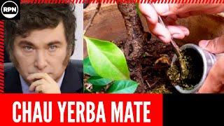 Milei lo vuelve a hacer ¿Chau yerba mate?