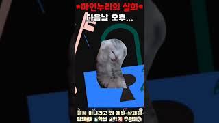 *마인누리의 실화*유튜브가 불펌인줄 알아서 채널 삭제시켰다(심지어 내 영상 따라 올렸는데...)고양이밈