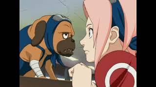 Pakkun isn't a cute puppy - Naruto