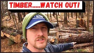 TIMBER...WATCH OUT! / HOMESTEAD LIFE AND TREE WORK