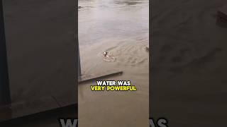 Guy Jumped In Flood Water, then Instantly Regrets It 