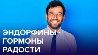 Что такое ЭНДОРФИНЫ? И как их ВЫРАБАТЫВАТЬ? | Доктор 24