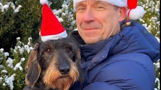 Dachshund Teddy's Christmas Hat Comedy Show