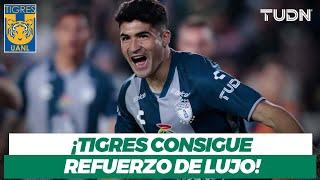 ¡LA BOMBA DEL MERCADO!  Nico Ibáñez será nuevo jugador de los Tigres I TUDN