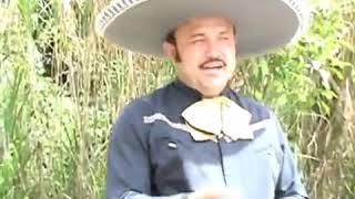 Melvin Arauz regiones de mi patria (Video Offical)