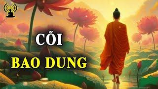 Khoan Dung Là Ngõ Hạnh Để Vào Vườn Từ Bi.