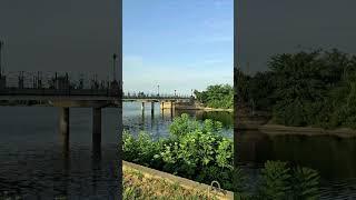 The bridge that separated the mill lake from the Dambovita delta #nature #explorethebeautyofnature