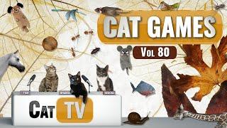 CAT Games | Ultimate Cat TV Compilation Vol 80 | 4 HOURS  