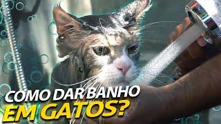 DEMOS UM BANHO NO PANTHRO E ELE NÃO GOSTOU! | A CASA DOS BICHOS