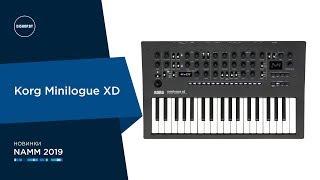 Korg Minilogue XD - Знакомство с Новинкой!