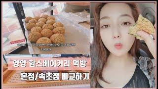양양여행vlog  - 함스베이커리 본점 속초점 먹방후기 비교 브이로그 /생활의달인빵집 춘빵