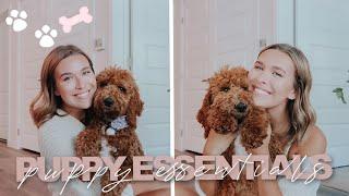 PUPPY ESSENTIALS YOU NEED | new puppy must haves + favorites & 5 month puppy update!