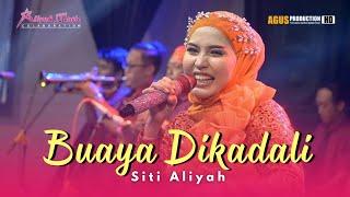 BUAYA DIKADALI - SITI ALIYAH || ALIYAH MUSIC COLABORATION || LIVE LARANGANJAMBE KERTASMAYA INDRAMAYU