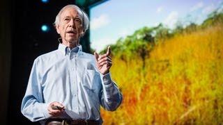 How to green the world's deserts and reverse climate change | Allan Savory