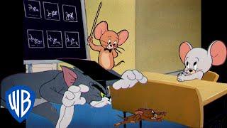 Tom & Jerry | Back to School Special!  | Classic Cartoon Compilation | @wbkids​