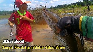 Aksi Bocil Kembali Taklukan Monster Gabus !!!