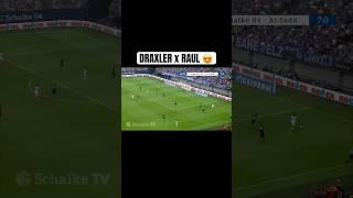 GOAL OF THE YEAR - DRAXLER & RAUL  #football #s04 #schalke