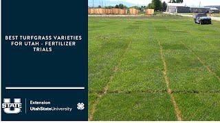 Best Turfgrass Varieties for Utah - fertilizer trials