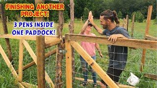 MOVING THE KIDS... FINALLY FINISHED PADDOCK 2!  | work, couple, tiny house, homesteading, off-grid |