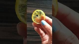 Candied Lemon and Orange Slice #candy #lemon #orange #shortvideo