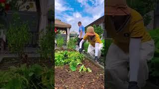 退休在农村小院，每天心系小菜园小花园，这不，又到了蔬菜换季的时候啦！#我的乡村生活#田园生活乐趣多 #向往的生活#退休升级#小芳夫妇