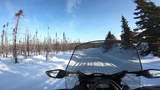 2020 Ski-Doo Expedition SE 900 ACE Turbo Labrador City groomed trail riding