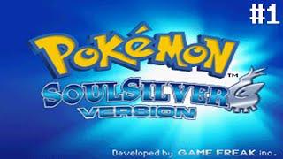 Twitch Stream | Pokémon SoulSilver Randomized Part 1