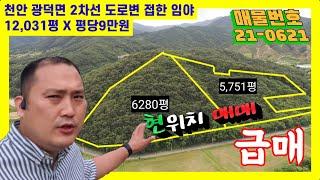 급매!!  천안시 광덕면 2차선도로변 임야 12,031평 급매물 평당9만원  땅모양 좋은 2차선도로변 임야