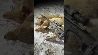 Night hunting coyotes with the Trijicon Reap-IR thermal scope! #coyote #thermals #trijicon