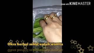 ELIZABETH TJAHJADARMAWAN - Sekilas Okra herbal sehat wanita